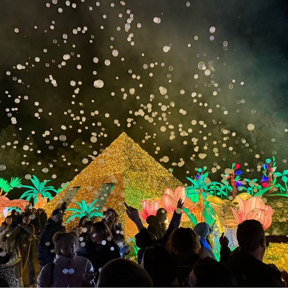 Meet your Posher, Megan - Picture 2 of 2